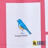 Штора для ванной Birds Photo Frames фото 2